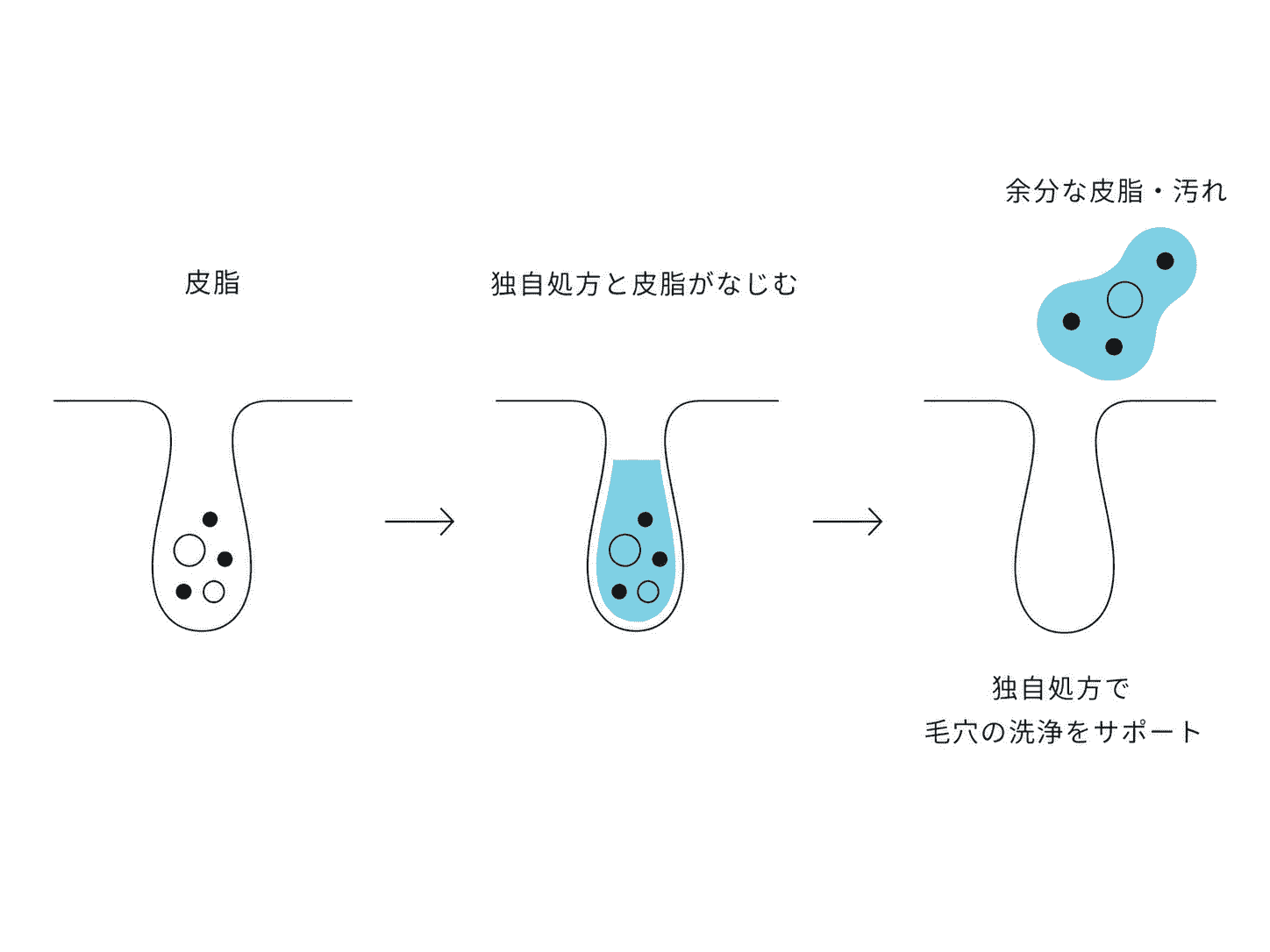 毛穴の余分な皮脂・汚れを落とす仕組みの図解